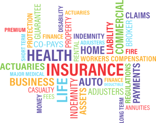 Employee Background Verification Company in Bangalore, Employee Background Screening Company in Bangalore, Education Verification Company in Bangalore, Employment Verification Company in Bangalore, Address Check​ Company in Bangalore, Criminal Check Company in Bangalore, Drug and Alcohol Test Company in Bangalore, Credit Check (CIBIL Check) Company in Bangalore, BGV COMPANY IN BANGALORE, Tenant Verification Company in Bangalore, Insurance Verification Company in Bangalore, Employee Background Verification Services in Bangalore, Employee Verification Services in Bangalore