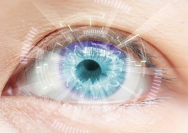 Background Verification Company in Ahmedabad, Education Verification Company in Bangalore, Employment Verification Company in Bangalore, Address Check​ Company in Bangalore, Criminal Check Company in Bangalore, Global Database Check Company in Bangalore, Identity Check Company in Bangalore, Reference Check​ Company in Bangalore, Drug and Alcohol Test Company in Bangalore, Credit Check (CIBIL Check) Company in Bangalore, Social Media Check Company in Bangalore, BGV COMPANY IN BANGALORE, Background Verification Company in Bangalore, Tenant Verification Company in Bangalore, Tenant Verification Company in Bangalore, Insurance Verification Company in Bangalore